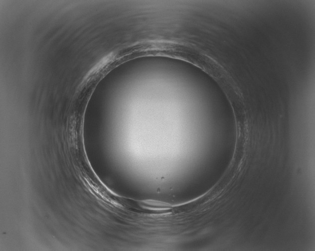 X0000085821403200703161210