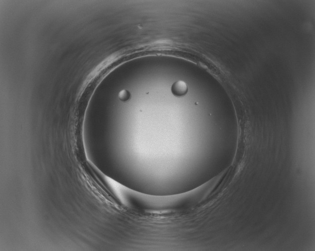 X0000085821410200703161210