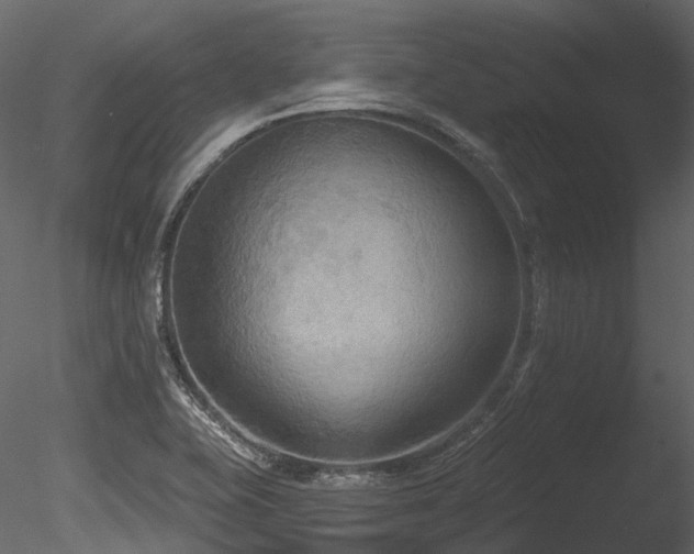 X0000085821415200703161210