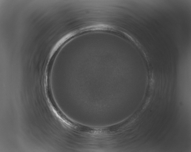 X0000085821418200703161210