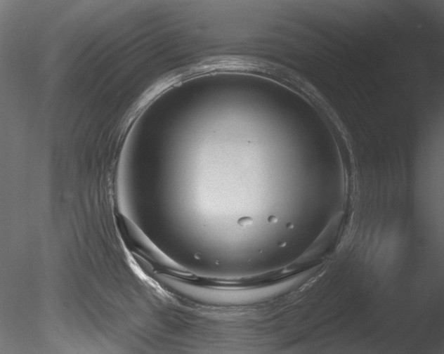 X0000085821433200703161211
