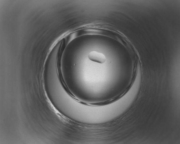 X0000085821434200703161211