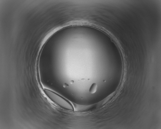 X0000085821440200703161211