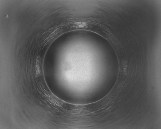 X0000085821442200703161210