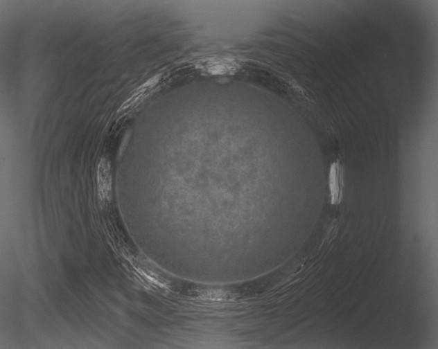 X0000085821443200703161210