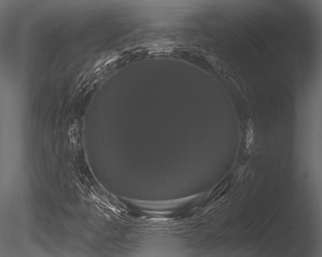 X0000085821445200703161210