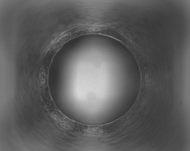 X0000085821447200703161210