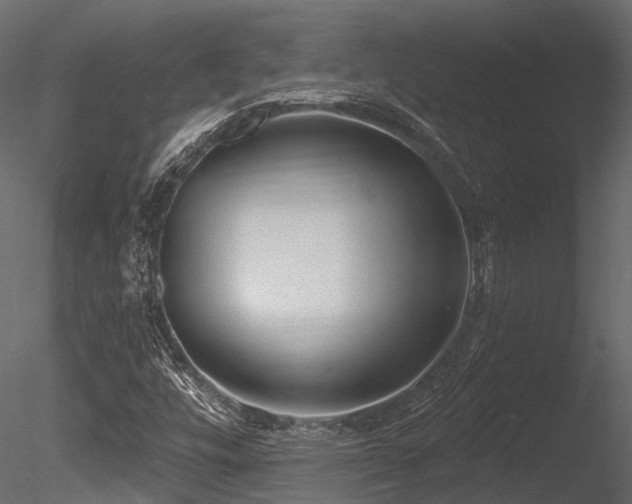 X0000085821448200703161210