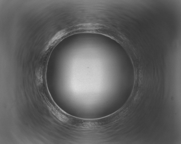 X0000085821451200703161210