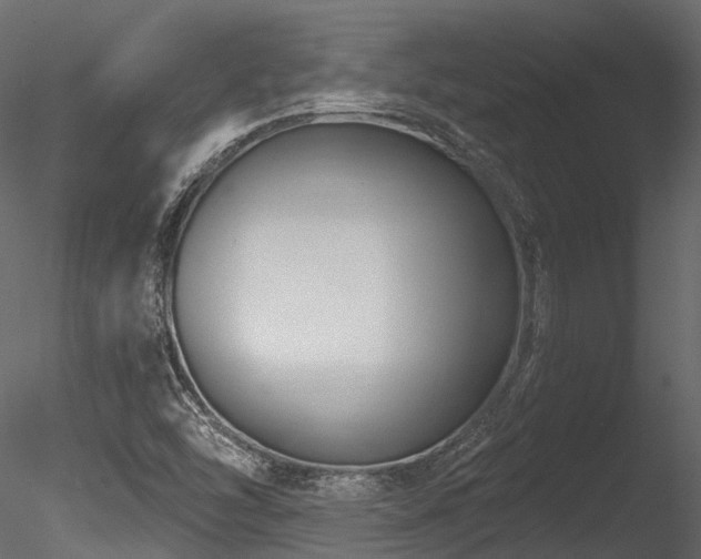 X0000085821454200703161210