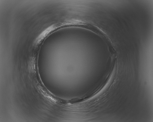 X0000085821455200703161210