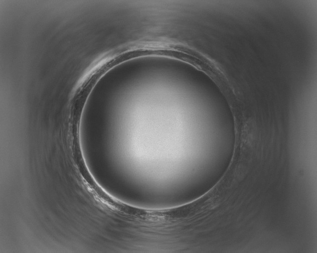 X0000085821456200703161210