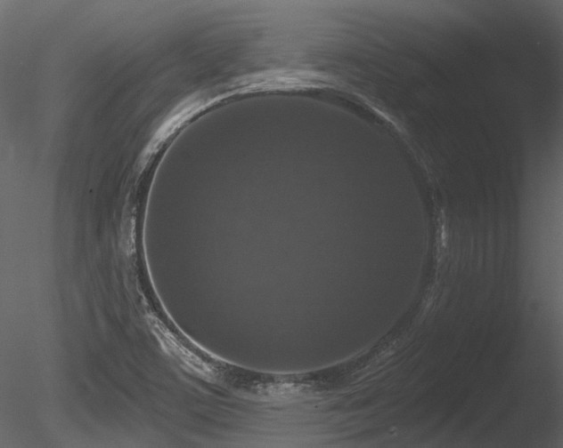 X0000085821459200703161210