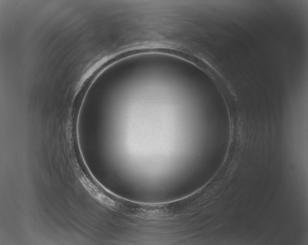 X0000085821460200703161210