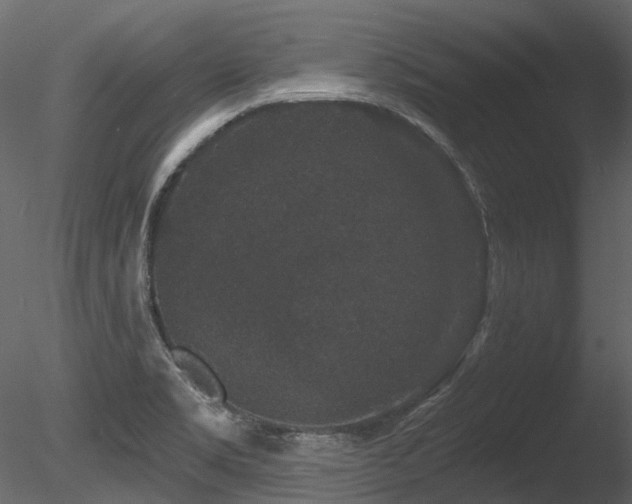 X0000085821469200703161209