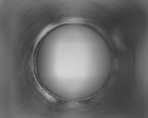 X0000085821470200703161209