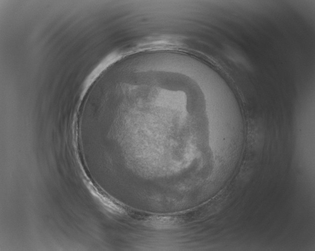 X0000085821474200703161209