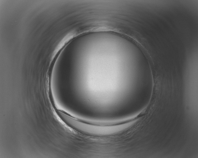 X0000085821476200703161209
