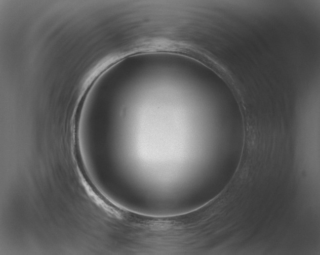 X0000085821479200703161209