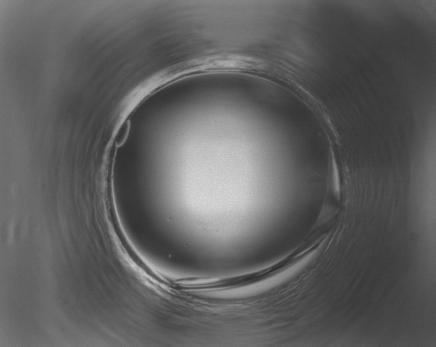 X0000085821483200703161209