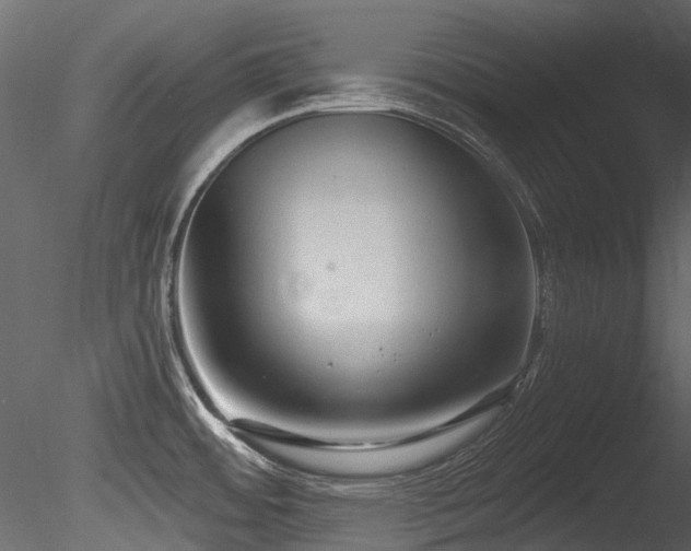 X0000085821484200703161209