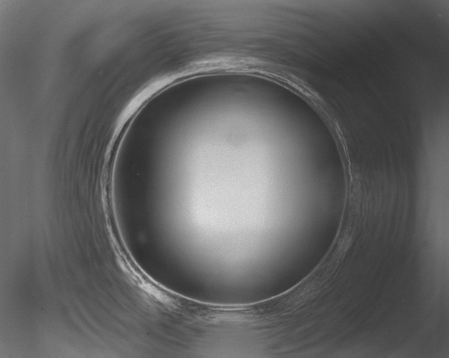 X0000085821486200703161209