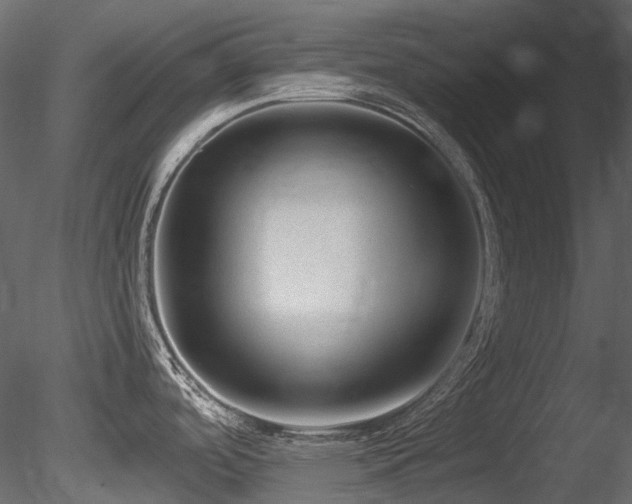 X0000085821488200703161209