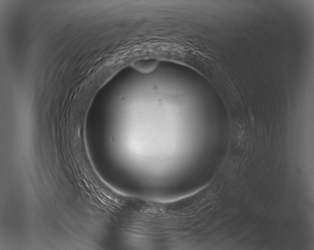 X0000085821489200703161208