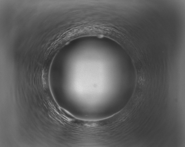 X0000085821490200703161208
