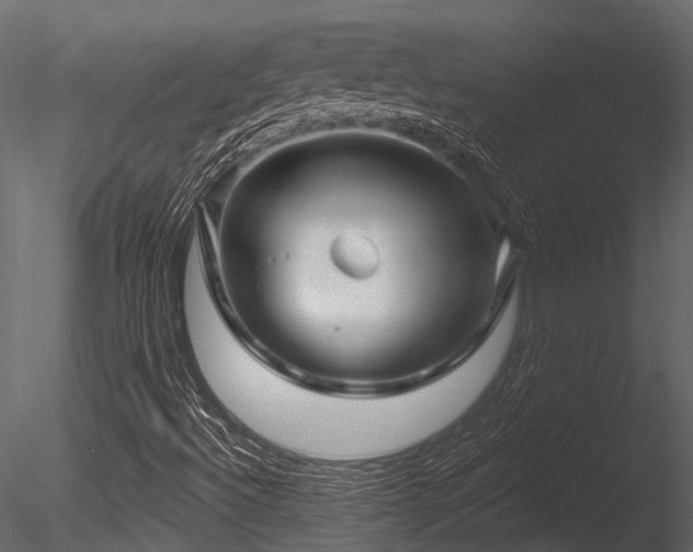 X0000085821492200703161208