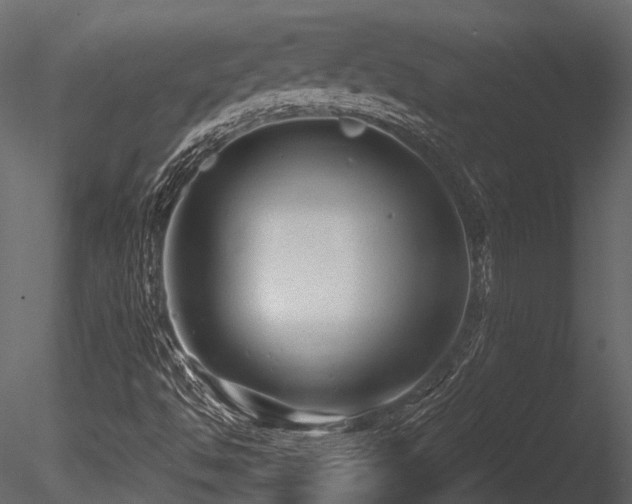 X0000085821494200703161208