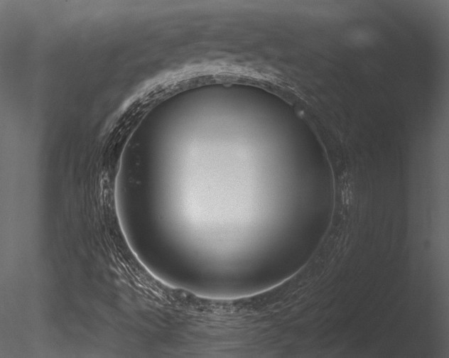 X0000085821495200703161208