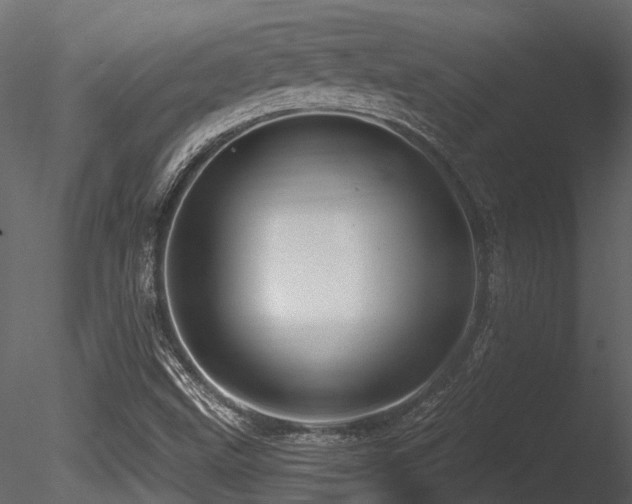 X0000085821499200703161208