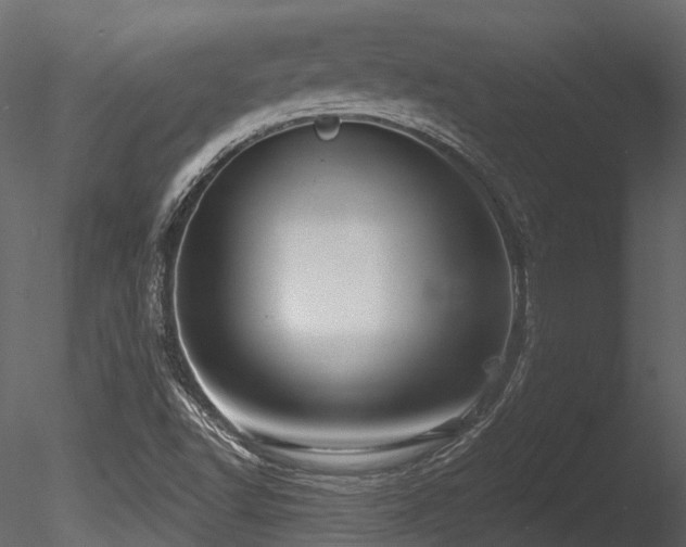 X0000085821502200703161208