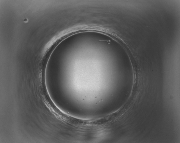 X0000085821503200703161208
