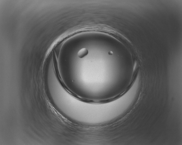 X0000085821506200703161209