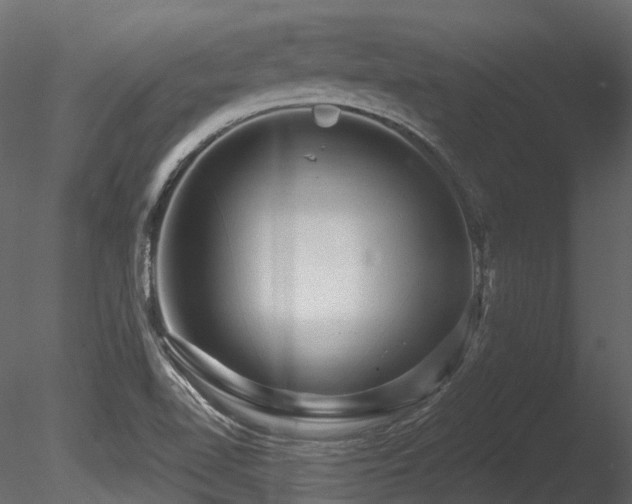 X0000085821510200703161209
