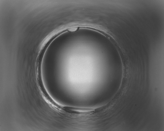 X0000085821511200703161209