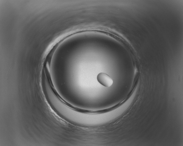 X0000085821512200703161209
