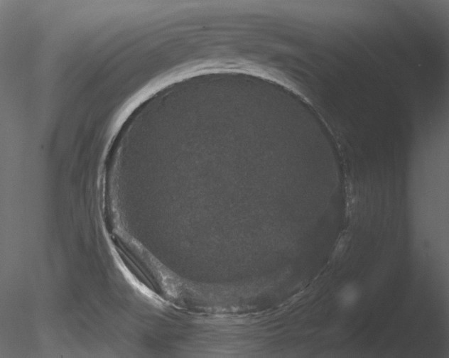 X0000085821519200703161209