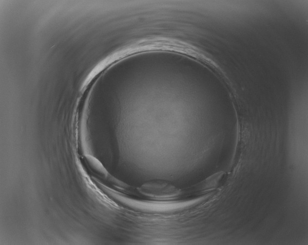 X0000085821522200703161209
