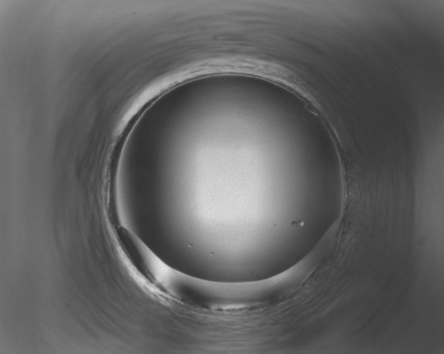 X0000085821523200703161209