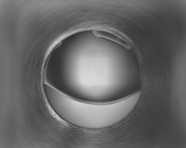 X0000085821528200703161209