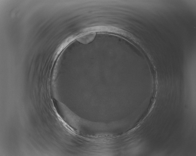 X0000085821529200703161209