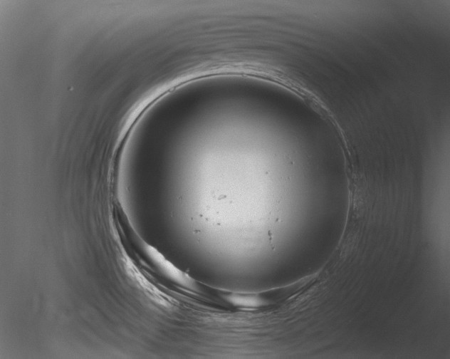 X0000085821532200703161209