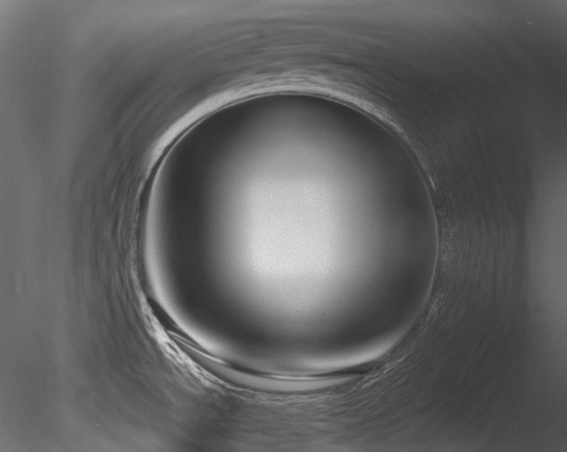 X0000085821534200703161209