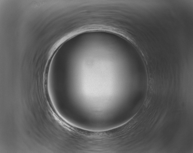 X0000085821535200703161209