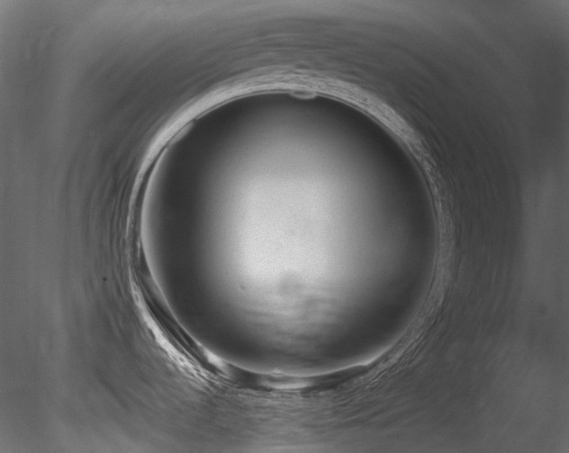 X0000085821536200703161209