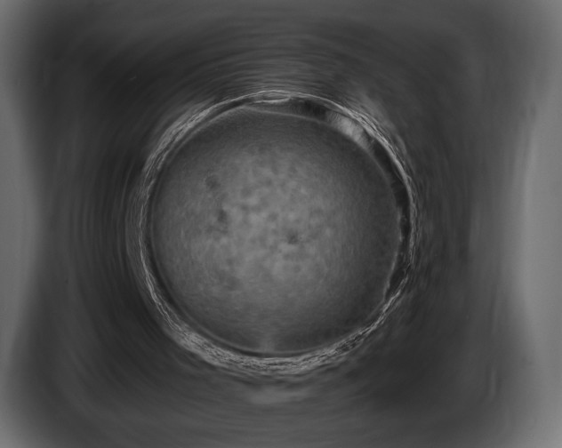 X0000085820001200703231408