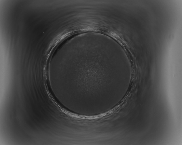 X0000085820002200703231408